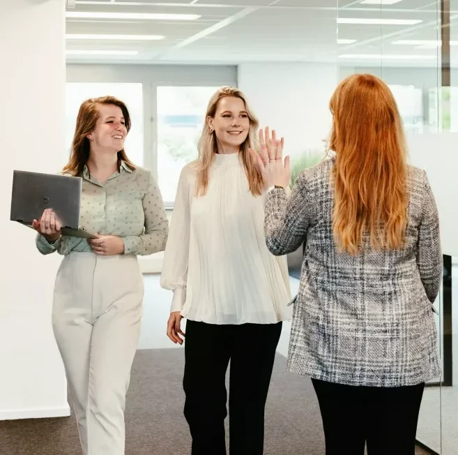 IT vacature professionals